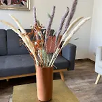 Tres Bel Appartement A Ajaccio